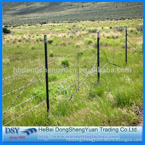 electric galvanized barbed wire factory/barbed wire with competitive price/security cheap barbed wire